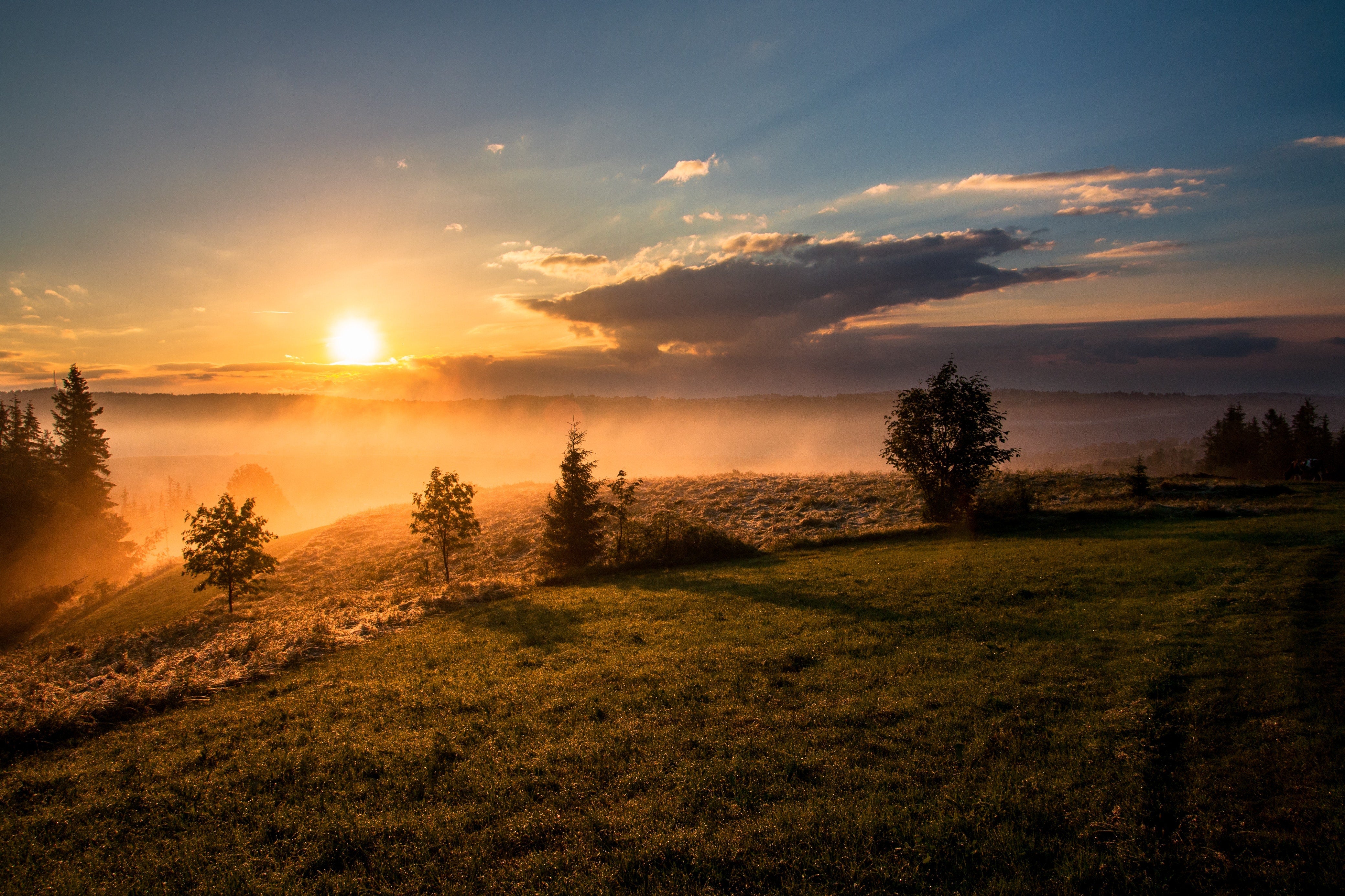 Die gesundheitlichen Vorteile von Vitamin D auf einen Blick