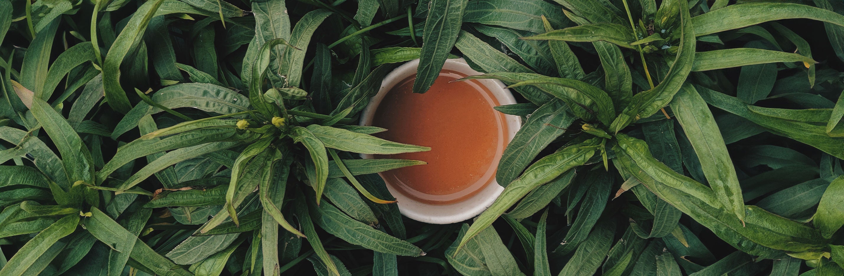 Entgiftung | Detox