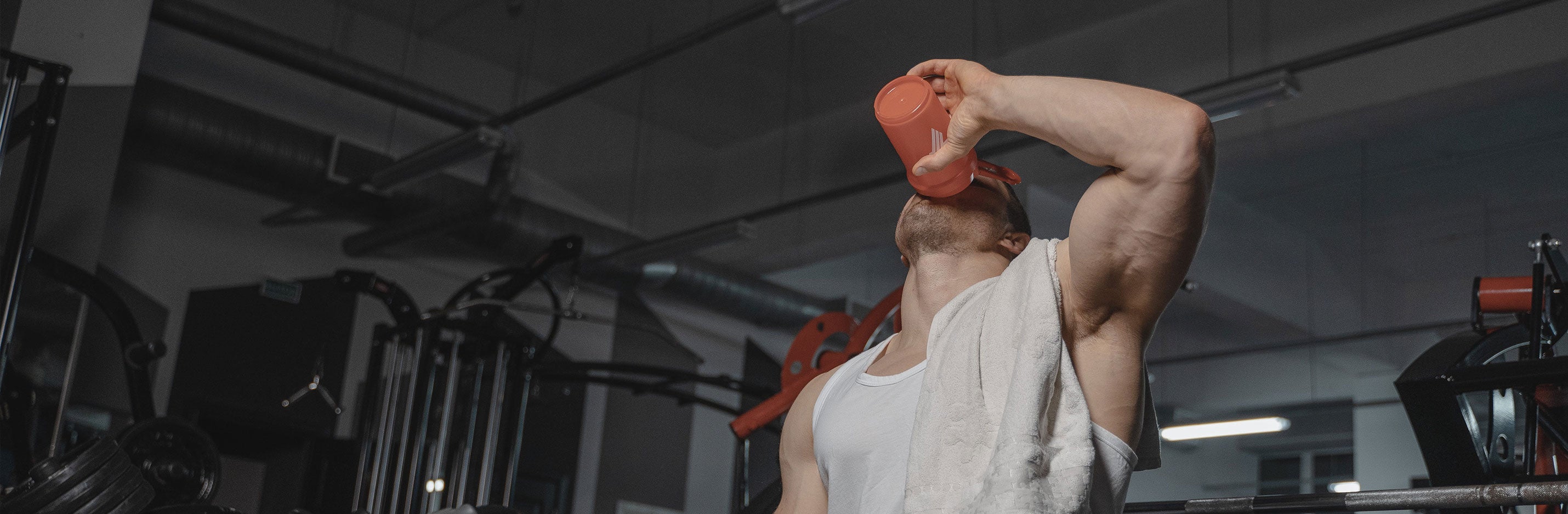 Whey Protein